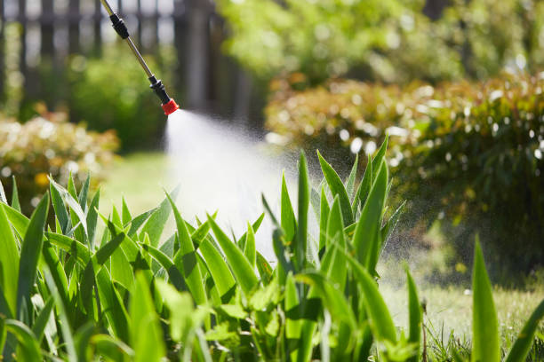 24/7 Emergency Fumigation Services experts in Ogden, KS