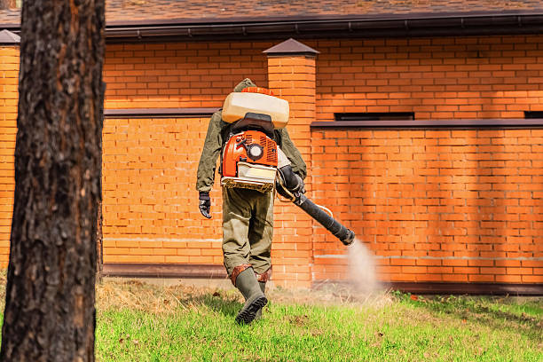 Top rated local Fumigation Services specialists in Ogden, KS